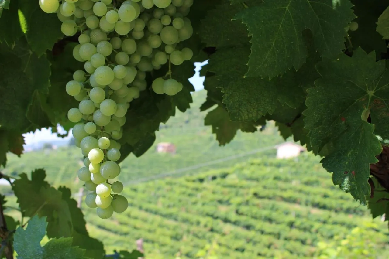 Agriturismo Villa Panigai 파라디솔리고 0*,  이탈리아