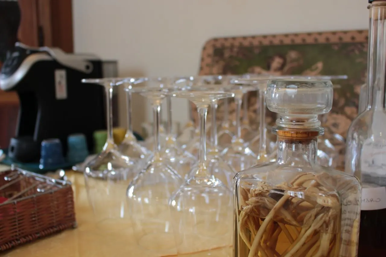 팜스테이 Agriturismo Villa Panigai 파라디솔리고
